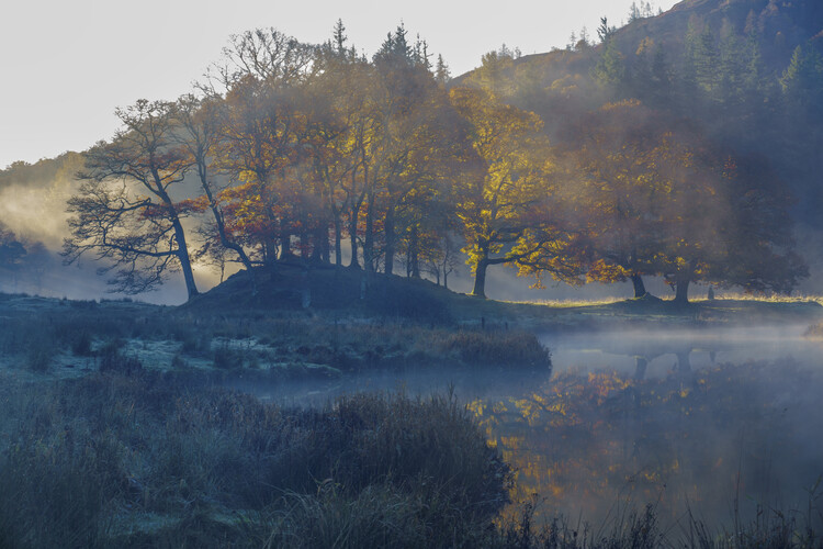 Poster Misty autumn morning sunrise over river Brathay, Elterwater