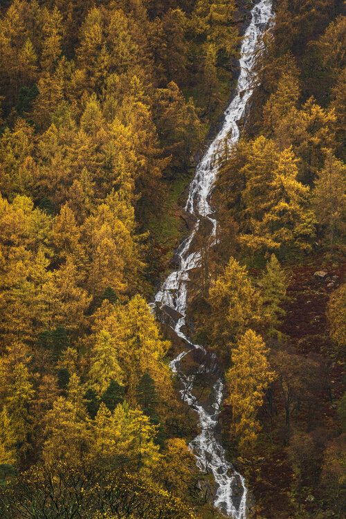 Poster Waterfall through autumn trees, lake district