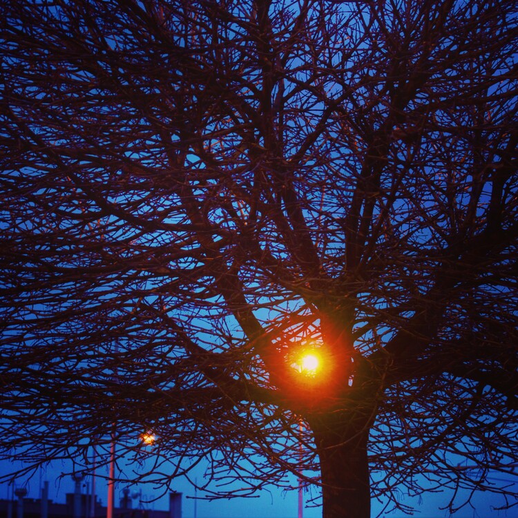 Poster Twilight Beacon