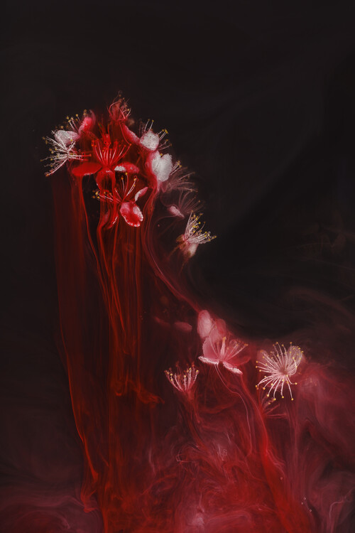 Poster Black magic - Blackthorn submerged in water with inks