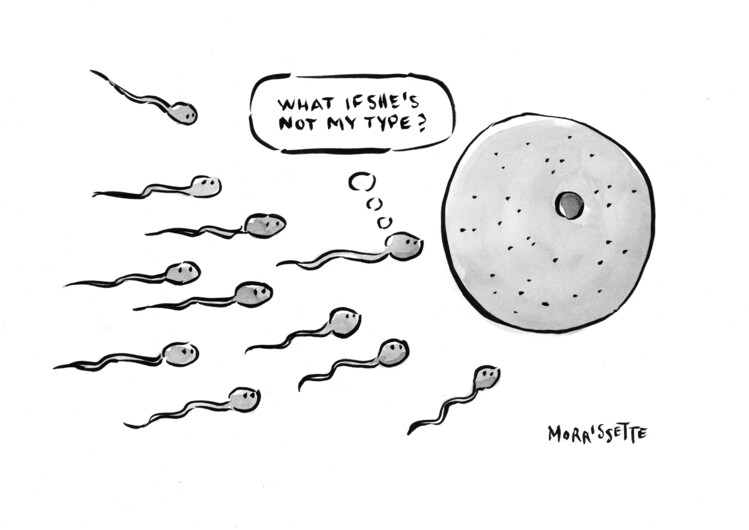 Poster Sperm Worries