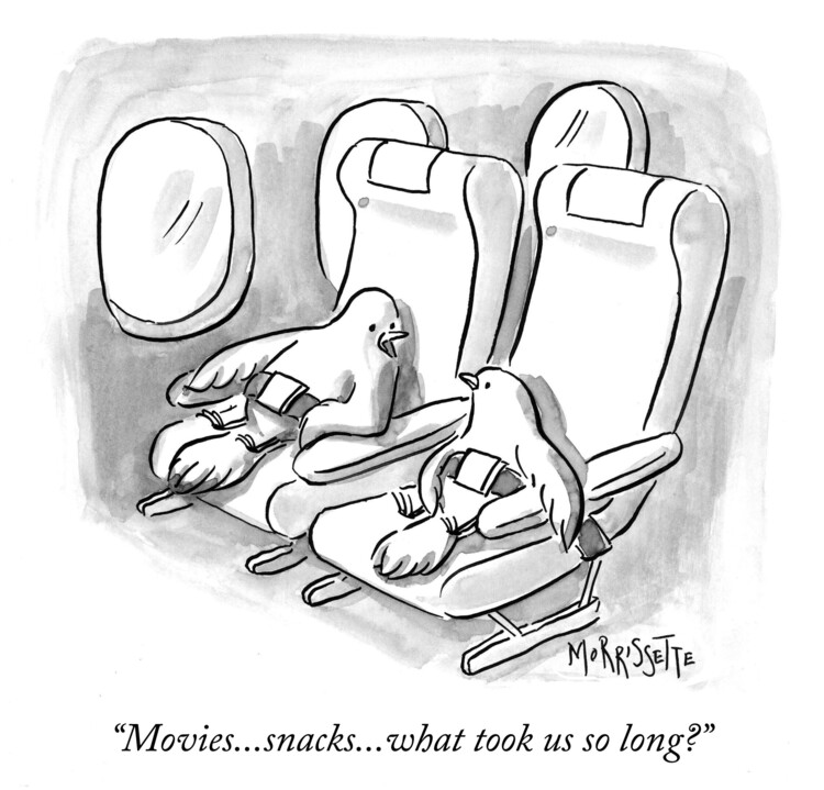 Плакат Birds In a Plane