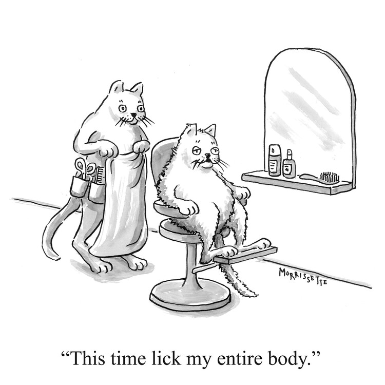 Poster Cat at Hairdresser