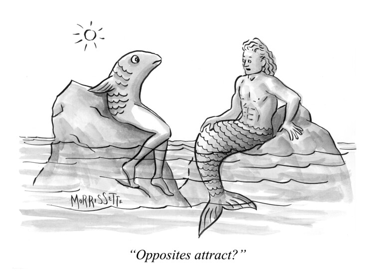 Плакат Opposites Attract?