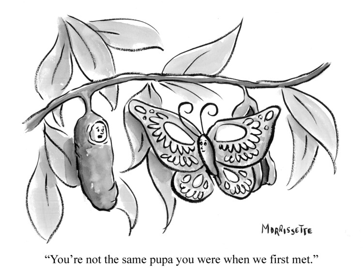 Canvas Print Not the Same Pupa