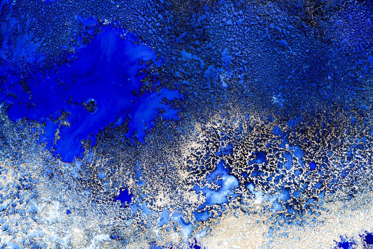 Poster Sunlit Reef