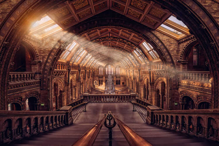 Levně Plakát, Obraz - Natural History Museum - London, Hernan Calderon Velasco, 40 × 26.7 cm