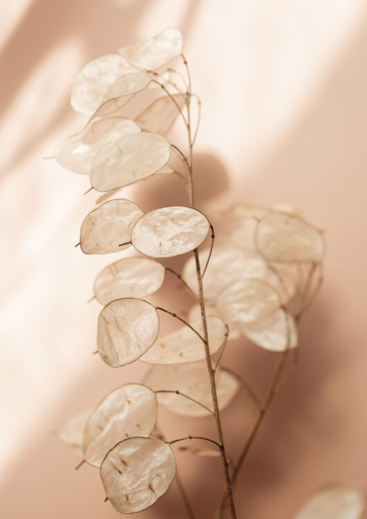 Poster Last Summer 12