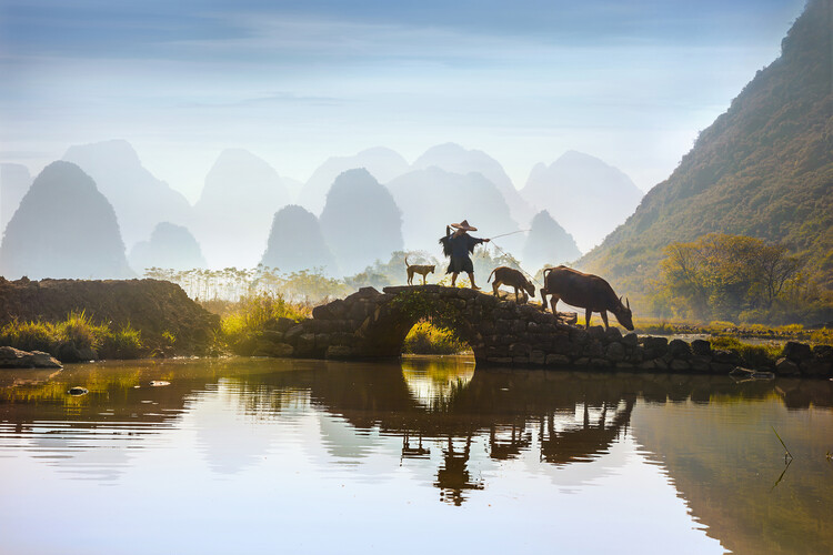 Canvas Print Buffalo Farmer