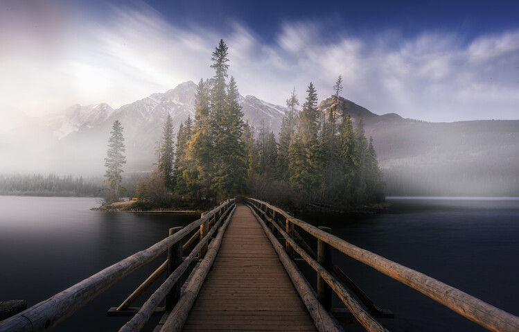 Poster Briege to fog