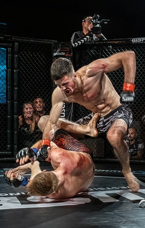 Sticker Fighting to the bottom