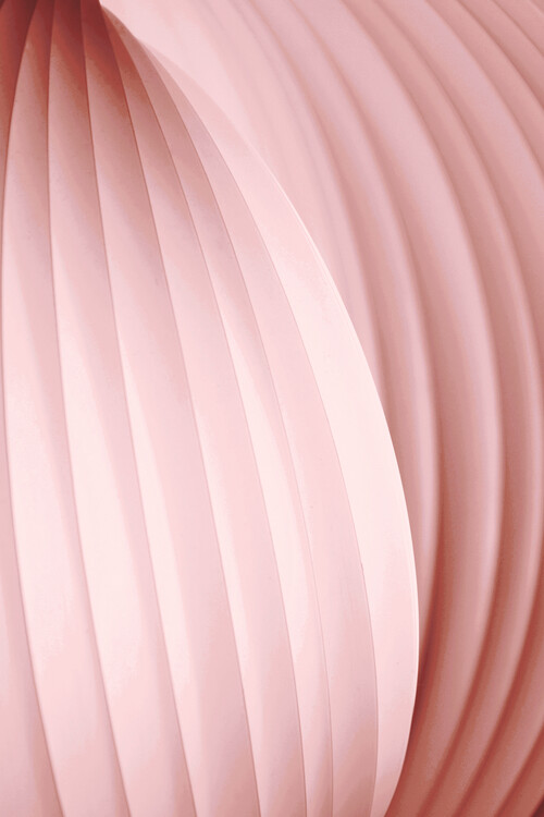 Levně Plakát, Obraz - Peach Pink, Christina Sillen, 26.7 × 40 cm