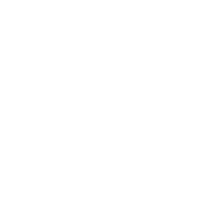 T-shirt Tokyo Blossom