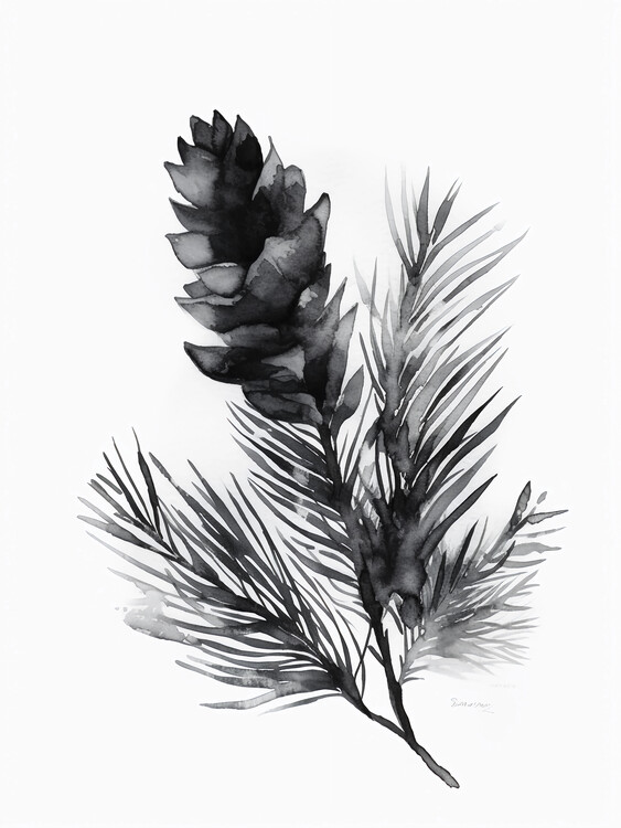 Плакат Watercolor black white pine cone