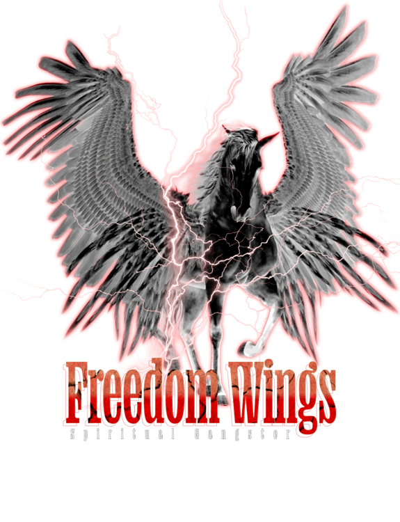 T-shirt Freedom wings
