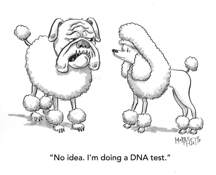 Poster Dog DNA