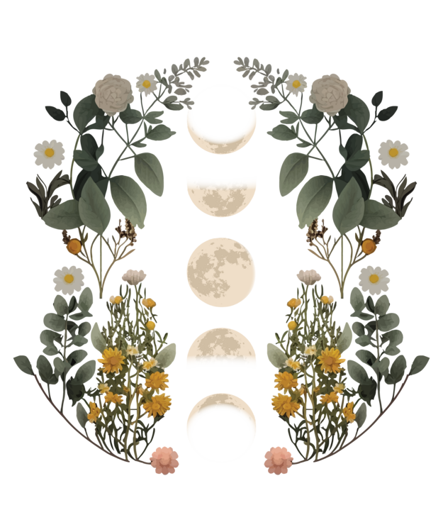 T-shirt moon phases