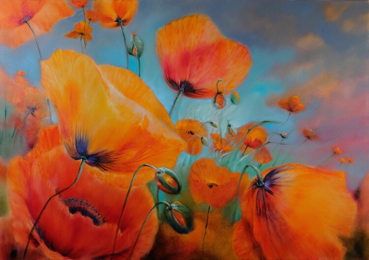 Plakat Red poppies - spring meadow_