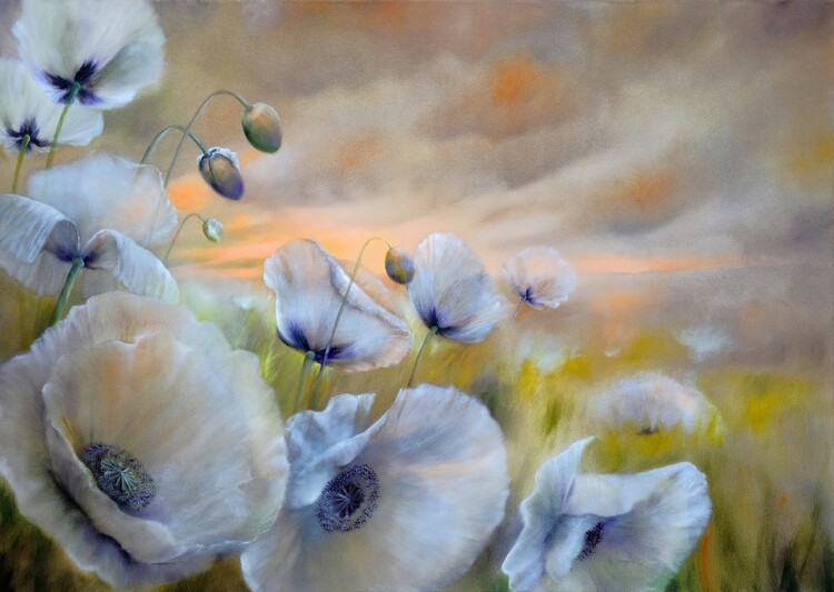 Plakat White poppies in the summer wind