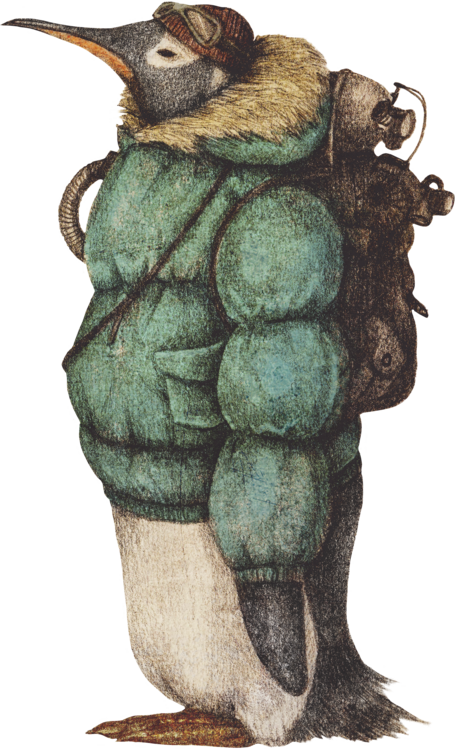 T-shirt Antarctic Explorer