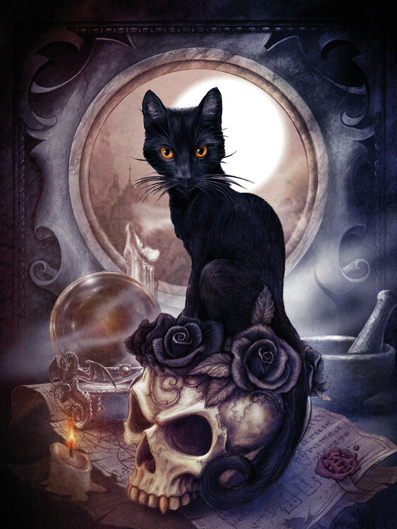 Canvas Print Grimelkin's Ghost