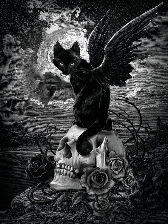 Canvas Print Nine Lives of Poe