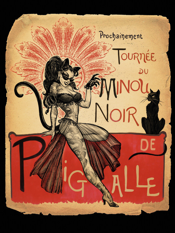 Canvas Print Tournee Minou Noir