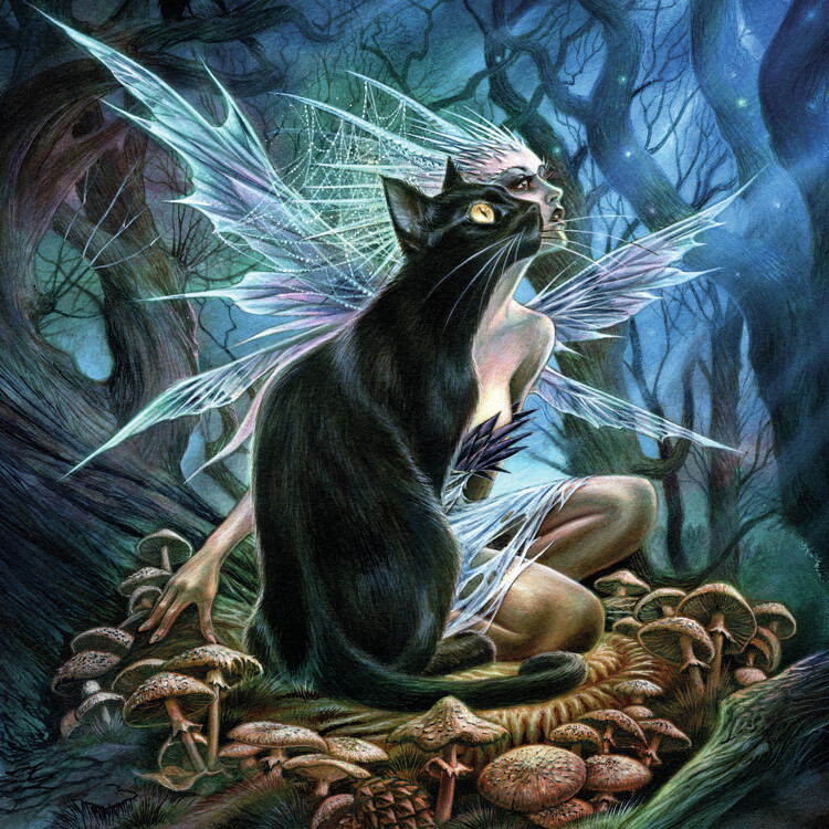 Canvas Print Faerie Familiar