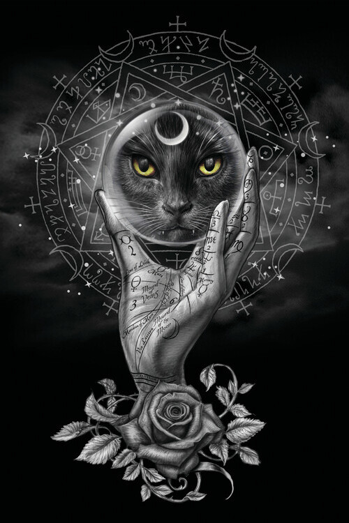 Canvas Print Grimalkin's Glass