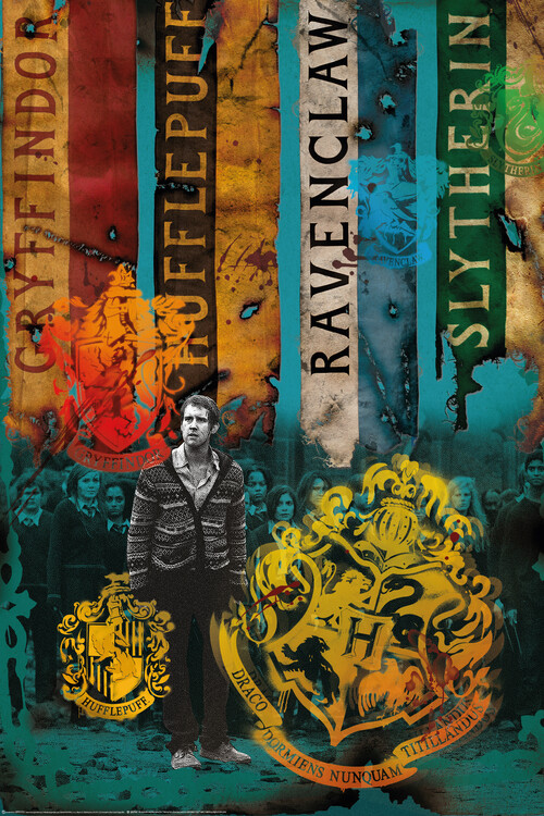 Plakat Harry Potter - Husene til Hogwarts
