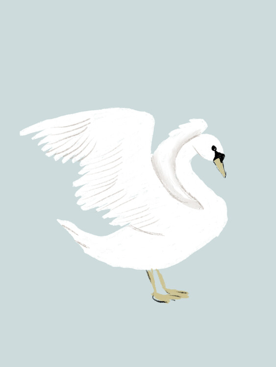 Poster The swan C