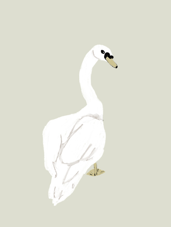 Poster The swan D