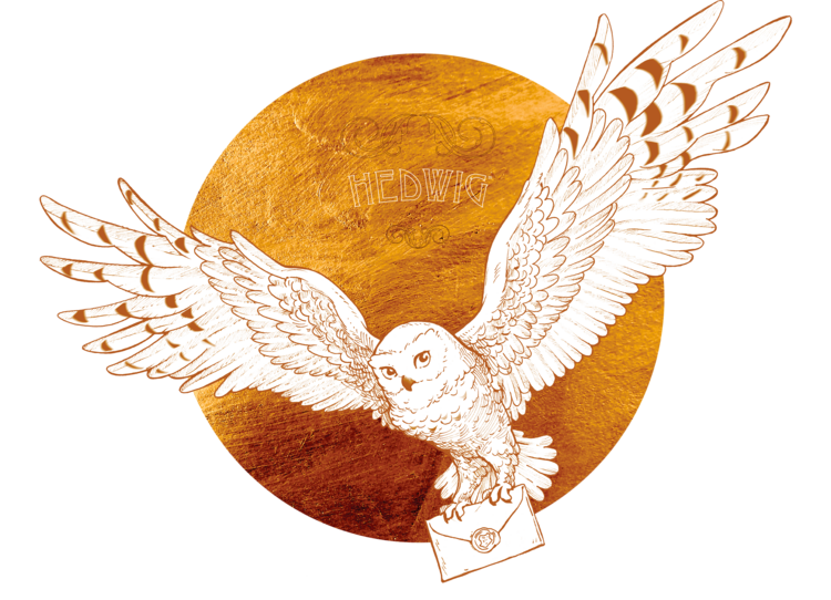 T-shirt Harry Potter - Flying Hedwig