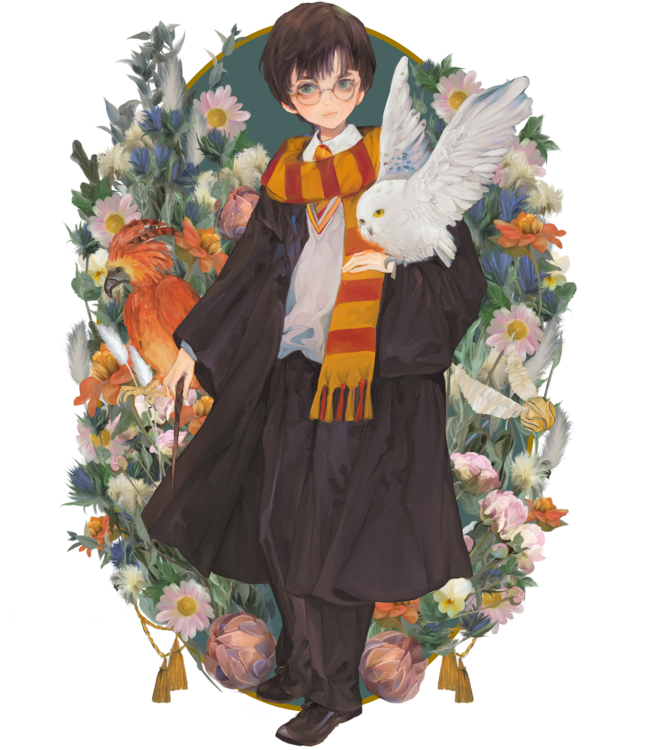 T-shirt Harry Potter - Yume