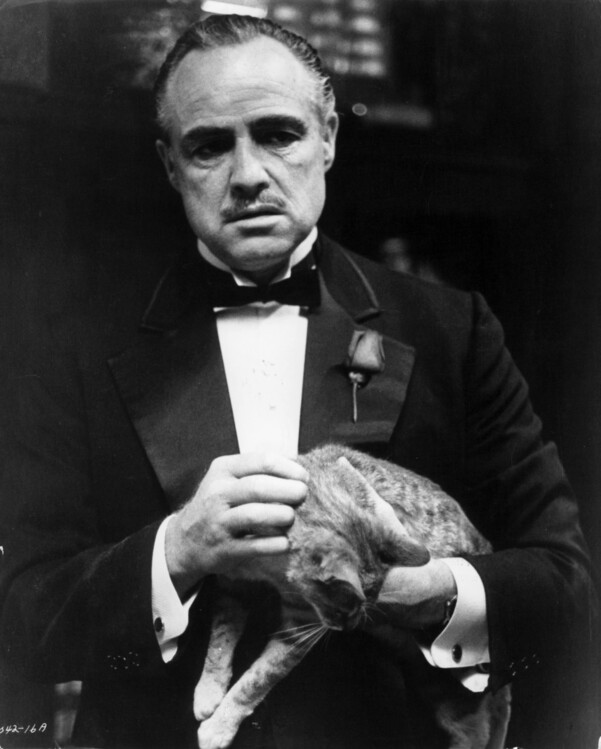 Плакат Marlon Brando In 'The Godfather'