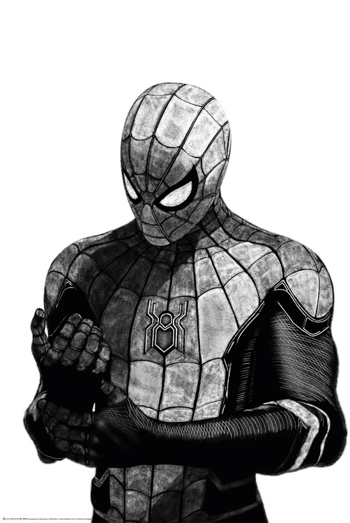 Poster Spider-man