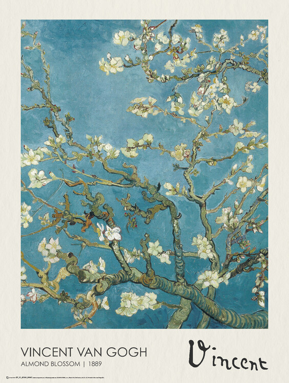 Poster Almond Blossoms
