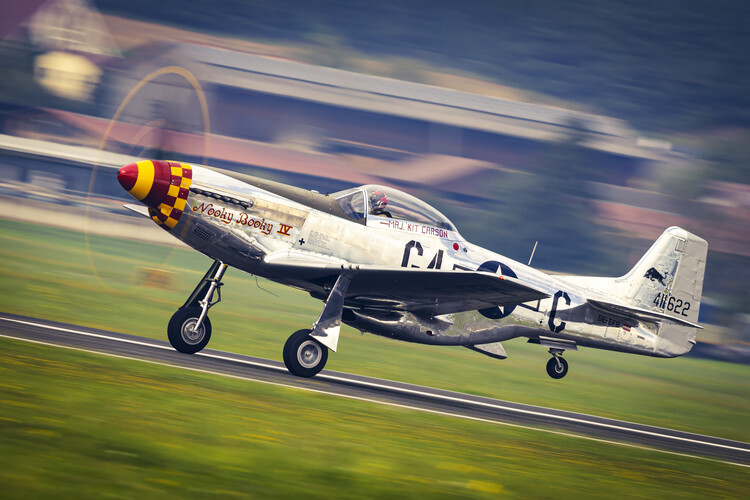 Canvas Print Mustang