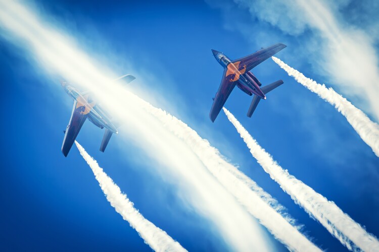 Canvas Print FlyingBulls 01