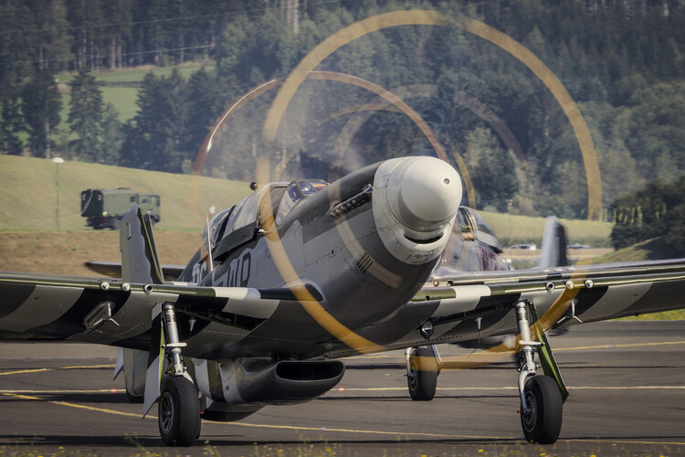 Canvas Print Mustang 01