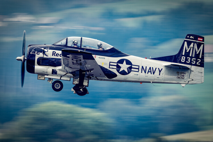 Canvas Print FlyingBulls 03