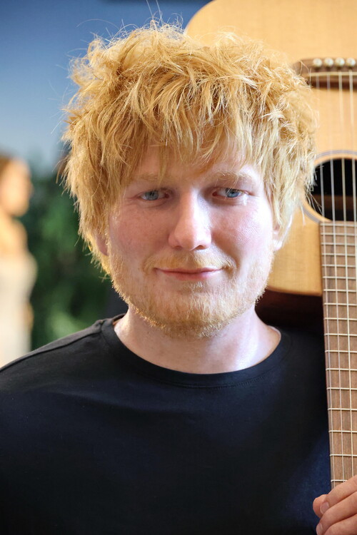 Canvas Print Ed Sheeran in Hamburg 2023