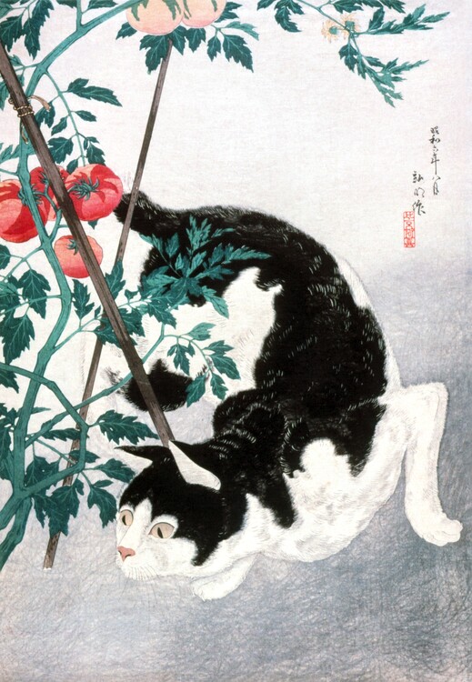 Плакат Cat with Tomato Plant (1931)