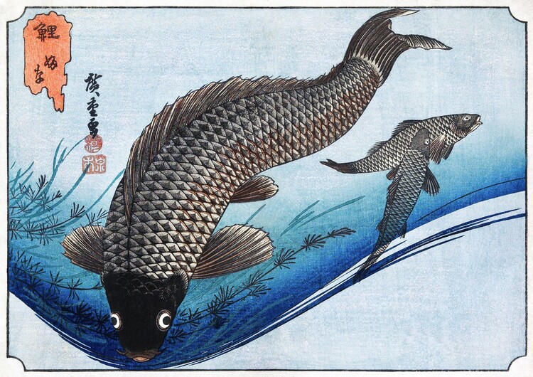 Poster Carp and Crucians (1830)