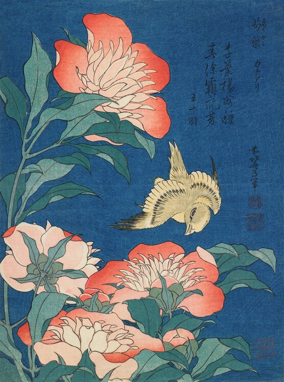 Plagát Peonies and canary (1834)