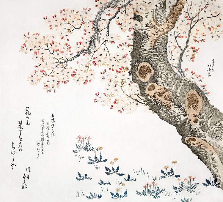 Slika na platnu Cherry tree (1822)