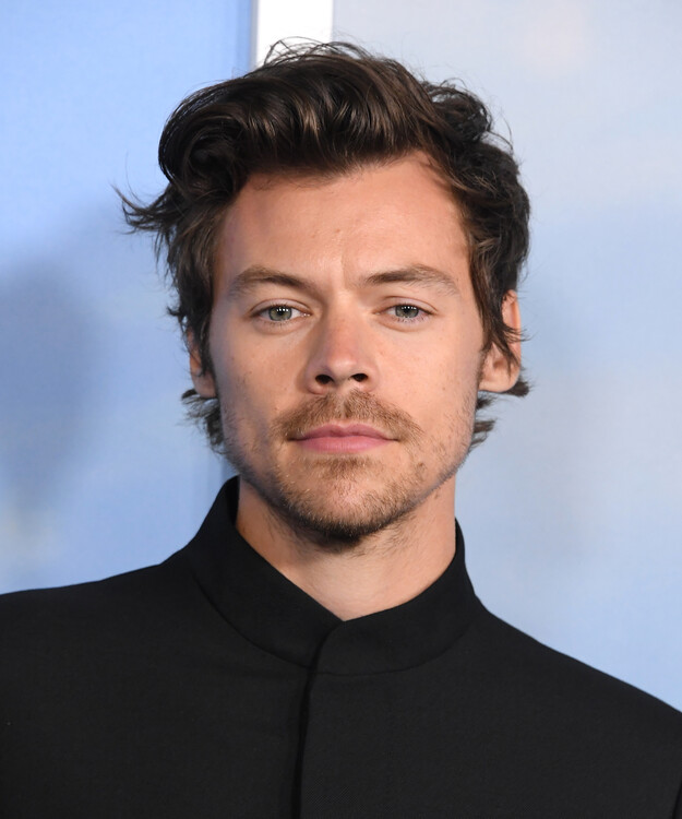 Poster Harry Styles at the Premiere Of My Policeman