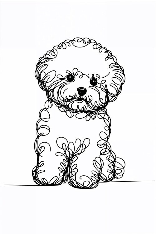 Poster Bichon Frise Dog Line Art Drawing