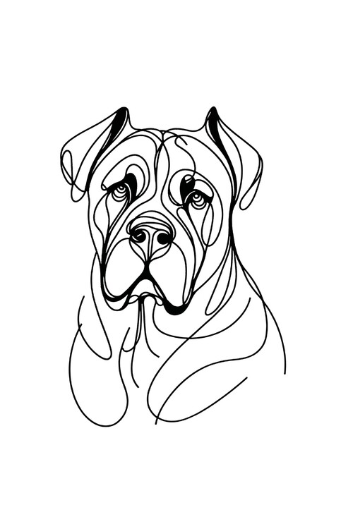 Poster Cane Corso Dog Line Art Drawing