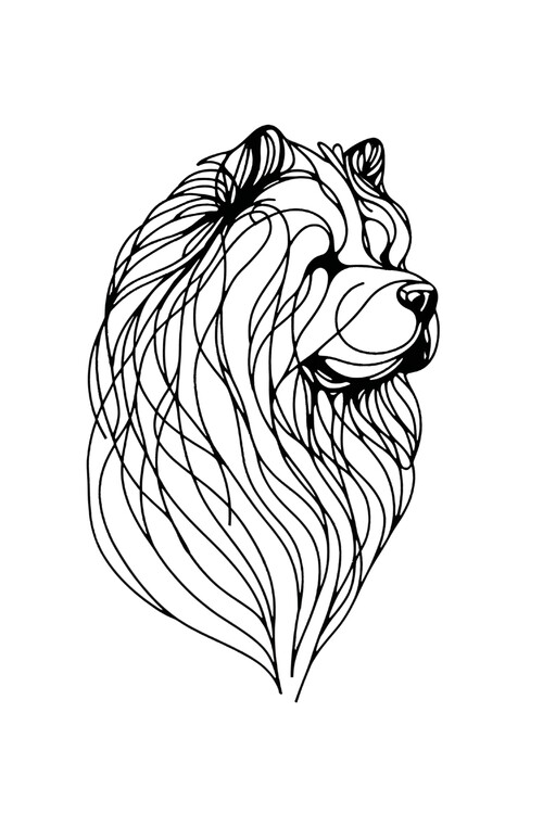 Poster Chow Chow Dog Line Art Drawing